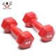 Vinyl Dipping Fitness Equipment Dumbbells With Hexagon Ends 0.5kg-10kg Weight