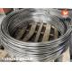 STAINLESS STEEL COIL TUBE A269 TP316L / TP304 / TP304L BRIGHT ANNEALED COILED PIPE