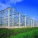Hydroponic Vegetable Growing Venlo Glass Greenhouse with Double Layer and Type Roof