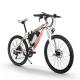 26 Inch Electric Bicycle Lightweight Ebike Mtb Rear Drive 36v 350w 10Ah RICH BIT 006