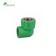 PPR Plastic Female Elbow Hollow Design for Hot and Cold Water System Installation