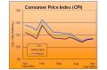 The Consumer Price Index (CPI) Increased in November