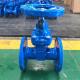 BS 5163 Non Rising Stem Resilient Seated Valve Rubber Seat Blue