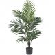 Height 220cm Green Artificial Plant For Indoor Decoration Kentia Palm Tree