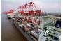 Volumes set to rise at Shanghai Port