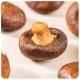 Indulge in Gourmet Pleasure with Vacuum Fried Shiitake Mushrooms