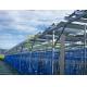 6000mm Agricultural Greenhouses Photovoltaic Mounting System Farm Shed