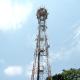 Galvanized Steel Self-support Lattice Mast 5G Telecom Tower 45m