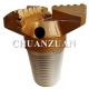 Public Buckle PDC Drill Bit 171MM 3 Blade For Medium Hard Formation