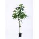 Money Tree Artificial House Plants , Artificial Trees For Living Room Environment Friendly