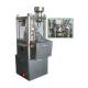 PLC Control Lab Tablet Press Machine , Lab Pill Press Machine D Tooling Standard