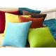 Multiple Colors Elegant Couch Pillow Covers Soft Comfortable For Bed / Car
