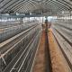 Hot Galvanized Egg Laying  Cage Poultry Farming Equipment Manual Chicken Layer Farming Cage