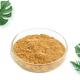 China 99% Stone pine spore Lycoris powder Radiata Extract Galanthamine Hydrobromide cheap