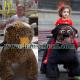 Hansel Plush Motorized Animals Battery Powered Ride On Animals 12v Kids Electric Ride