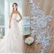 Apparel  Accessories Ivory  Embroidery  Cord Lace Applique for Bridal Dress