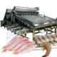 ISO 1500KG Seafood Sorting Machine , Multifunctional Fish Size Sorter