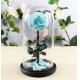 Hot sale Natural Fresh flower rose in big long glass dome Home Decoration and Christmas gift