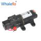 Whaleflo 12v DC 3.1Lpm 70psi agriculture backpack sprayer diaphragm water pump