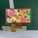 480×272 Dots TFT LCD Display 5.0V RGB 40 Pin 6 Bits 5.0 Inch Touch Panel