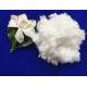 7Dx64MM raw white hollow conjugated siliconized polyester staple fiber in virgin grade