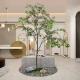 Custom Corner Artificial Ficus Tree Space Decoration Minimalist Style