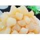 Shihan Fresh Dried Scallop Healthy Snacks Scallop Raw Material