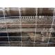 Corrosion Resistance Super Knot Horse Mesh Fencing With Excellent Weather Resistance And Good Ventilation