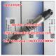 Genuine and New BOSCH injector 0445120247 , 0 445 120 247, 1112010-640-0000 , 11120106400000 , exchange No. 0445120395