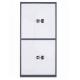 2 Drawers 4 Doors Steel Office Furniture Vertical Confidential Filing Cabinet