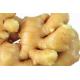 Ginger Extract, Gingerol, CAS No.: 1391-73-7, Vigna angutaris Extract, Galla Chinensis Extract,Ellagic acid ,100%natural