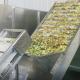 Dehydrated Fruit Chips Continuous Belt Dryer Avocados Peaches Plums Drying System