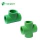 Hot Water Green Pipe Fittings QX PPR Equal Cross Tee 20mm to 110mm for Your Standards