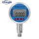 Auto Standby Digital Pressure Gauge for Long Battery Life in Air and Fuel Measurement