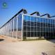 Alloy Transparent 9.6m Commercial Glass Greenhouse