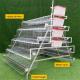 Automatic Feeding 160 Chickens Galvanized Chicken Cage Laying Hen Cages