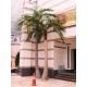Hot Sale Artificial Coconut Tree/Fake Coconut Trees for Outdoor & Indoor Decoration