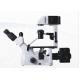 6V 30W Tissue Culture Laboratory Biological Microscope Halogen NCQ - 600 φ35mm φ54mm