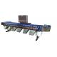 Automatic Electronic Fruit Sorter And Weigh Machine