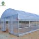 10m Single Span Tunnel Greenhouse With Cooling System