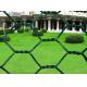 PVC Coated Hexagonal Wire Mesh Chicken Wire Mesh Iron Wire Material For Farm