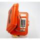 OEM ODM VoIP Telephone Safe ATEX Certified For Hazardous Industry