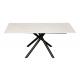 1800*900mm Ceramic Material Dining Table With Fixed Type Black  Metal  Leg