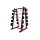 Commercial Molding Frame Exercise Fitness Equipment Ten Pcs Barbell Rack