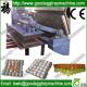 automatic egg tray making machine with good compete(FC-ZMG3-24)