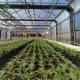 100m Herbs Light Deprivation Greenhouse Blackout Dehumidifier