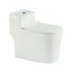 700x630x370mm Electronic Bidet Toilet Bowl Auto Cleaner Seat Smooth glazed surface