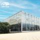 Venlo Transparent Glass Multi Span Greenhouses With High Light Transmission