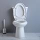 Elongated Compact Ada Toilet 19 Inches Powerful Punch Syphon Standard Height