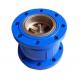 DN65 Cast Iron Silent Check Valve for Energy Saving in Water Media and OEM Port Size